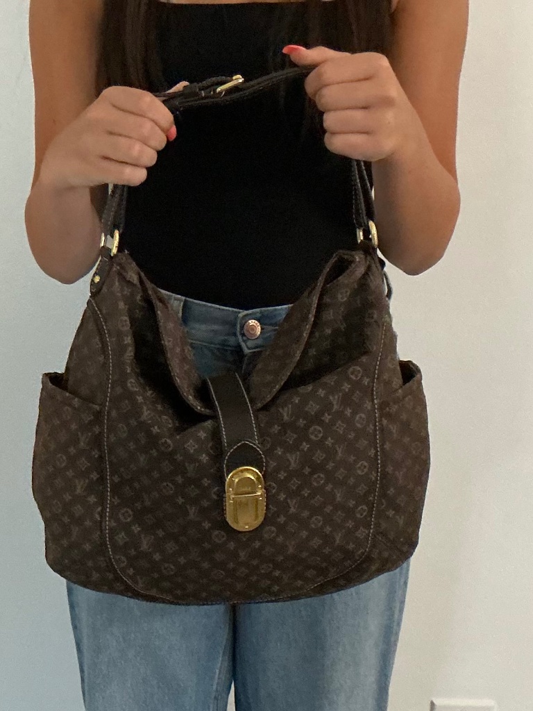 Louis Vuitton Designer Bag With Dust Bag